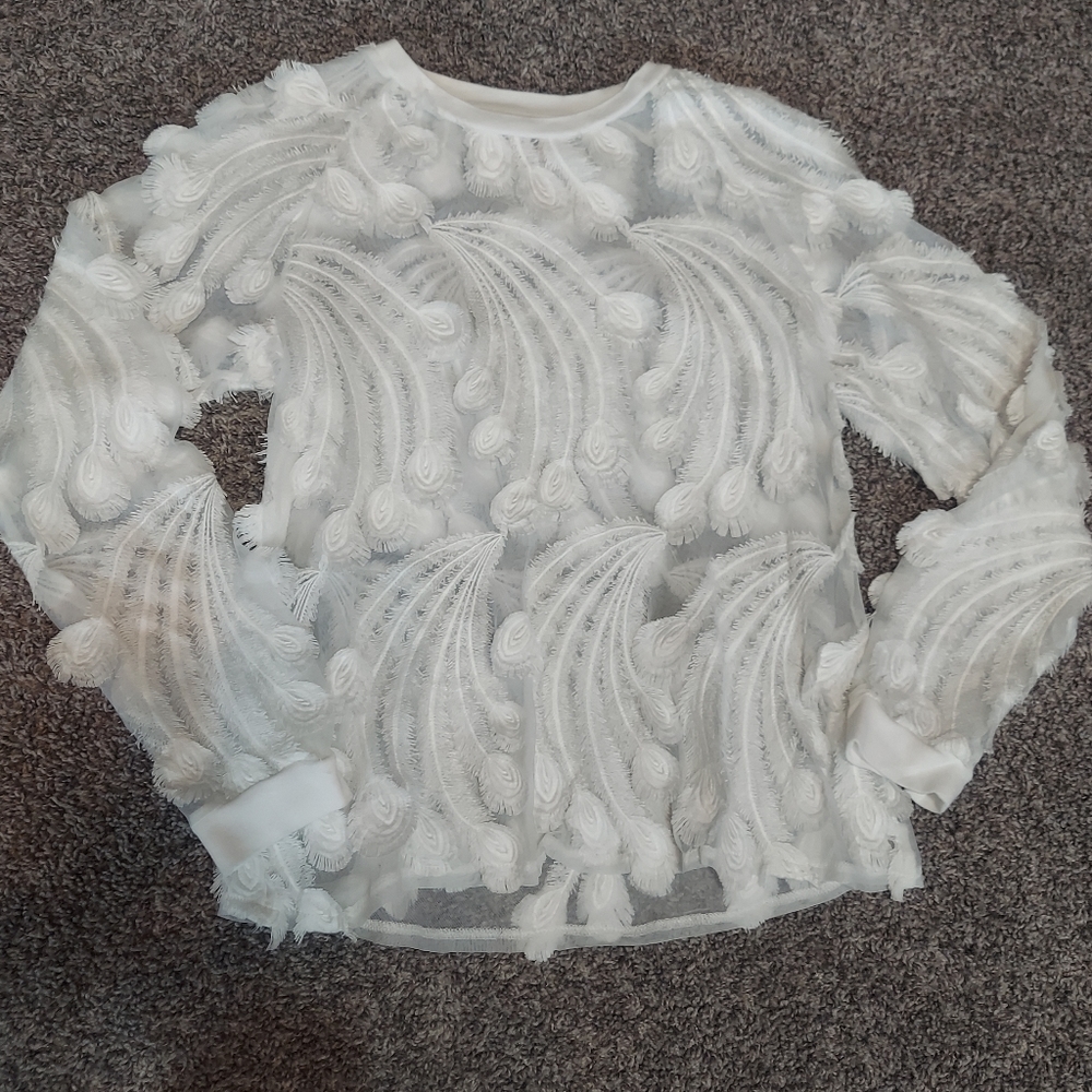 Anthropologie PEPIN sheer Long Sleeve Top